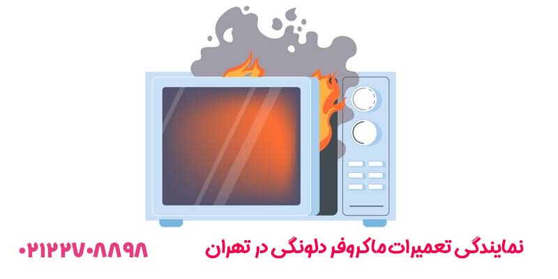 نمایندگی تعمیرات ماکروفر دلونگی در تهران