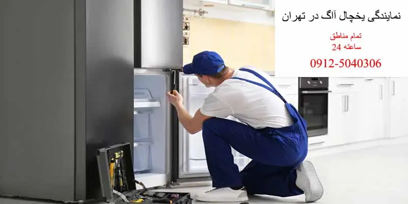 نمایندگی یخچال آاگ در تهران